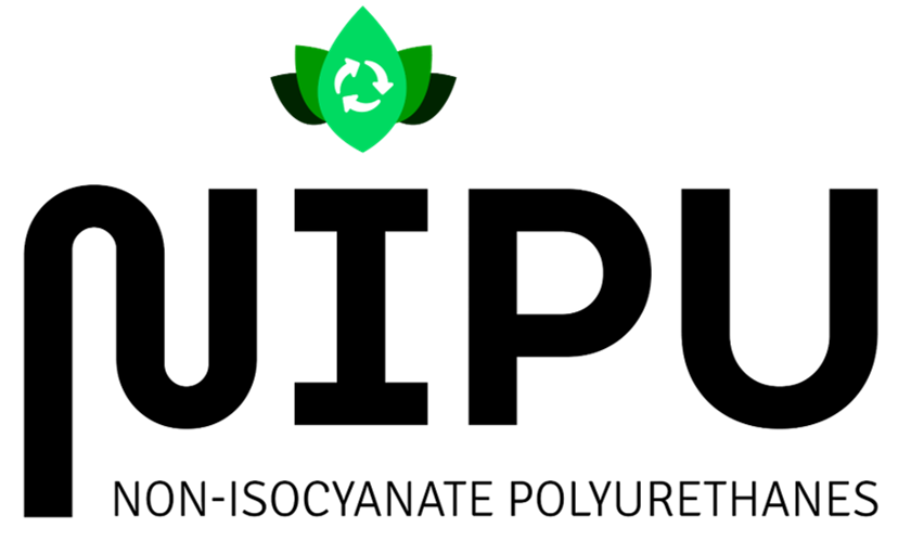 Logo_NIPU